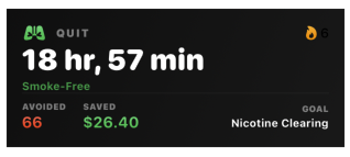 Quit progress widget